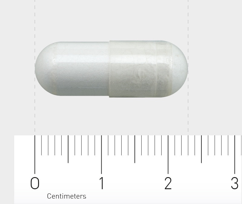 Das Bild zeigt eine weiße Kapsel, die horizontal auf einem Lineal liegt. Das Lineal hat eine Skala in Zentimetern und Millimetern. Die Kapsel ist etwa 2 Zentimeter lang und hat eine glatte Oberfläche.
