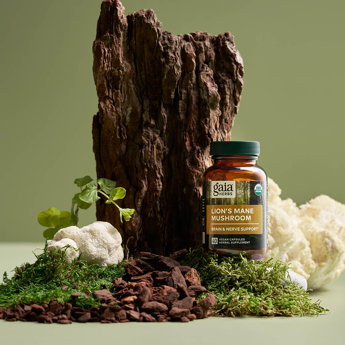 Das Bild zeigt eine Flasche "Lion's Mane Mushroom" von Gaia Herbs, umgeben von natürlichen Elementen wie Moos, Holz und Pilzen. Der Hintergrund ist grün. Die Szene wirkt natürlich und organisch, mit einem Fokus auf pflanzlichen Inhaltsstoffen.