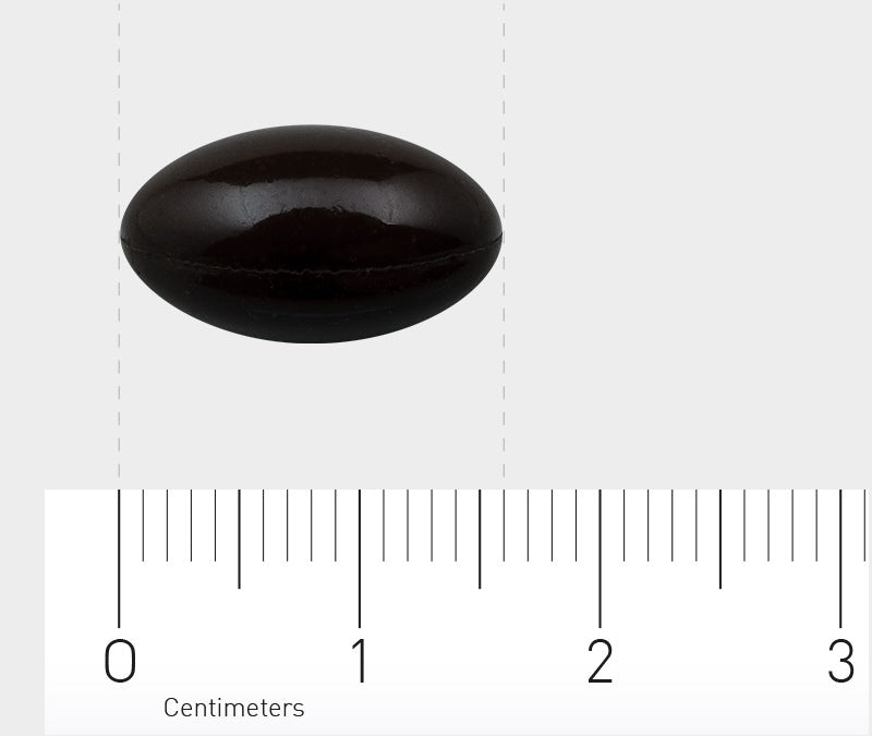 Ein einzelnes, ovales, dunkles Objekt liegt auf einer flachen Oberfläche. Unter dem Objekt befindet sich ein Lineal mit Zentimeter-Markierungen, das die Größe des Objekts anzeigt. Das Objekt ist etwa 1,5 Zentimeter lang.
