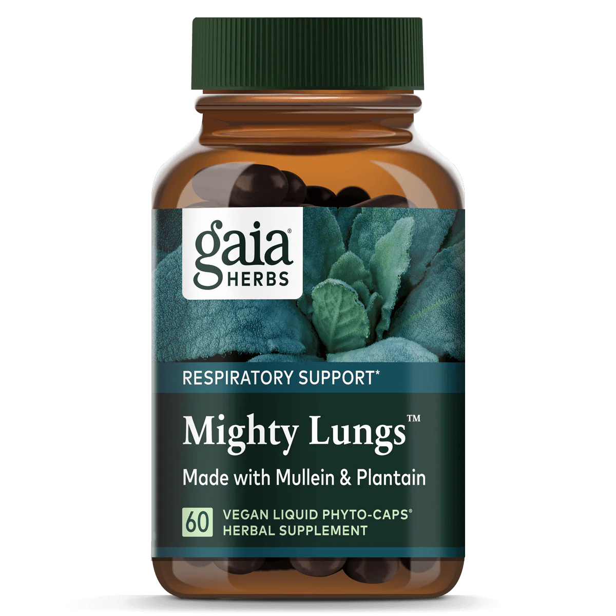 Das Bild zeigt eine braune Flasche mit grünem Schraubverschluss, die das Produkt "Mighty Lungs" von Gaia Herbs enthält. Auf dem Etikett steht "Respiratory Support" und es wird angegeben, dass das Produkt mit Königskerze und Wegerich hergestellt ist. Es sind 60 vegane Flüssigkapseln enthalten. Die Flasche ist vor einem Hintergrund mit grünen Blättern abgebildet.