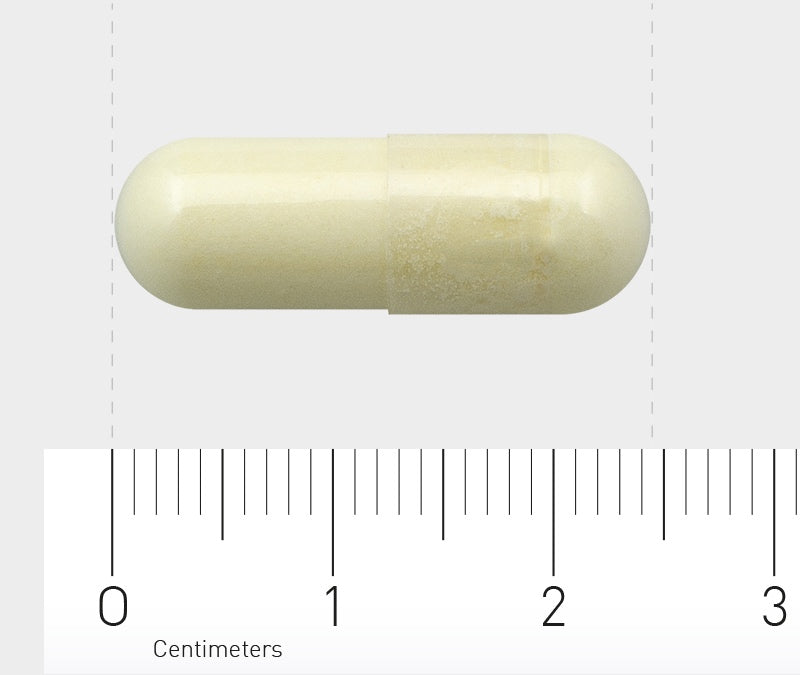 Eine gelbe Kapsel liegt auf einem Lineal, das in Zentimetern skaliert ist. Die Kapsel misst etwa 2 Zentimeter. Der Hintergrund ist grau.
