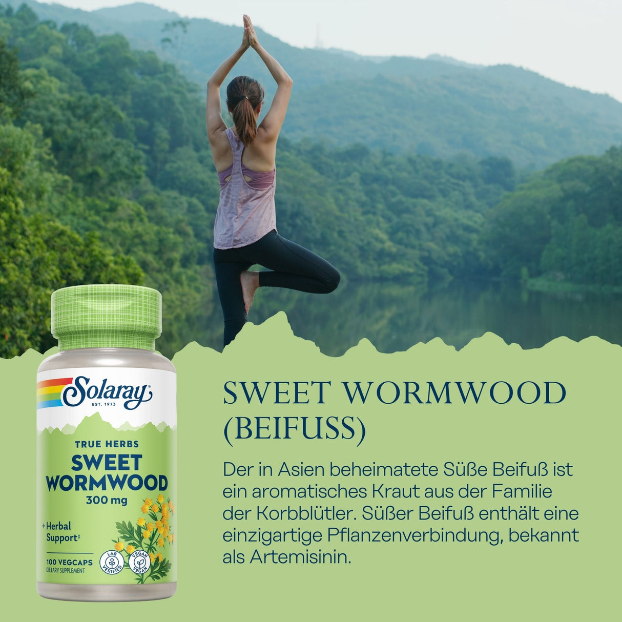 Frau macht Yoga vor bewaldeter Landschaft. Links ein Produkt namens Solaray Sweet Wormwood. Text beschreibt es als asiatisches Kraut.