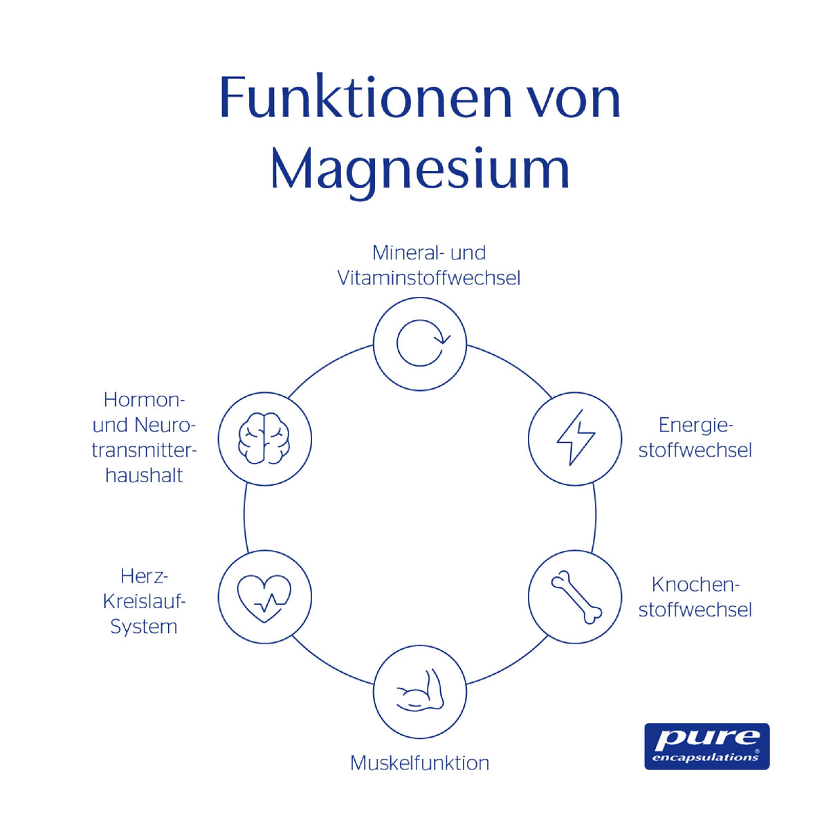 Das Bild zeigt eine Infografik mit dem Titel 'Funktionen von Magnesium'. In der Mitte befindet sich ein Kreis mit sechs Symbolen, die verschiedene Funktionen von Magnesium darstellen: Mineral- und Vitaminstoffwechsel, Energiestoffwechsel, Knochenstoffwechsel, Muskelfunktion, Herz-Kreislauf-System und Hormon- und Neurotransmitterhaushalt. Jedes Symbol ist mit einem beschreibenden Text versehen. Unten rechts ist das Logo von 'pure encapsulations' zu sehen.