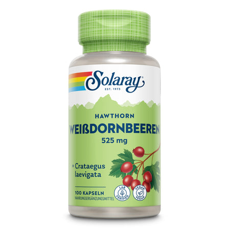 Eine Plastikflasche mit grünem Deckel und Etikett. Das Etikett zeigt den Markennamen Solaray und den Produktnamen Weißdornbeeren 525 mg. Unten befinden sich Symbole für Laborzertifizierung und Veganismus. Das Etikett hat ein Design mit grünen und roten Farben, das Weißdornbeeren und Blätter darstellt. Die Flasche enthält 100 Kapseln eines Nahrungsergänzungsmittels mit Crataegus laevigata.