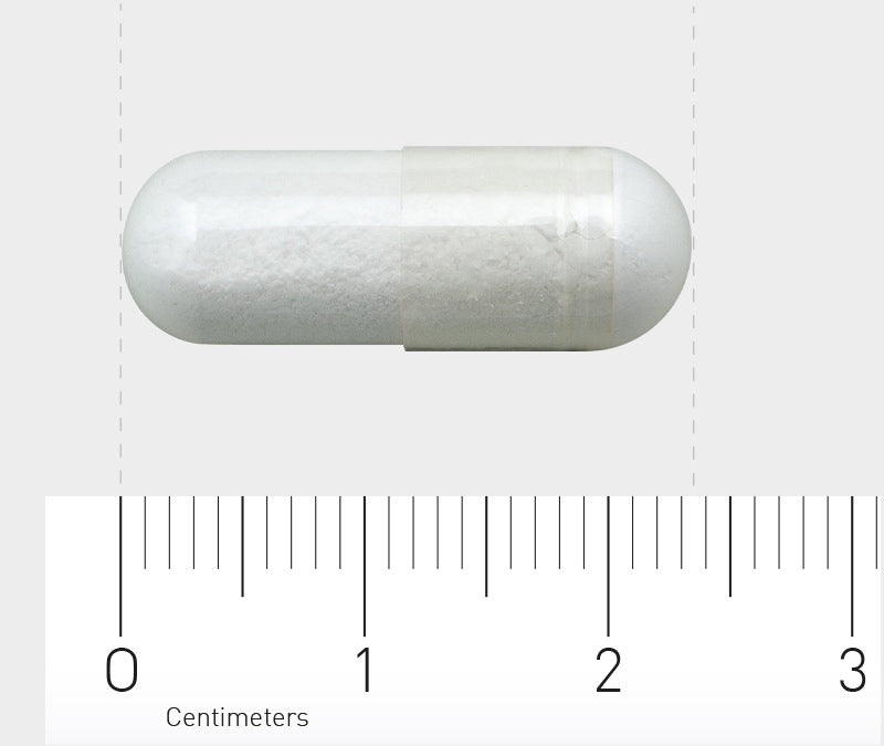 Das Bild zeigt eine weiße Kapsel, die horizontal auf einem Lineal liegt. Die Kapsel hat eine glatte Oberfläche und misst ungefähr 2,3 Zentimeter in der Länge. Das Lineal darunter zeigt Zentimetermarkierungen.