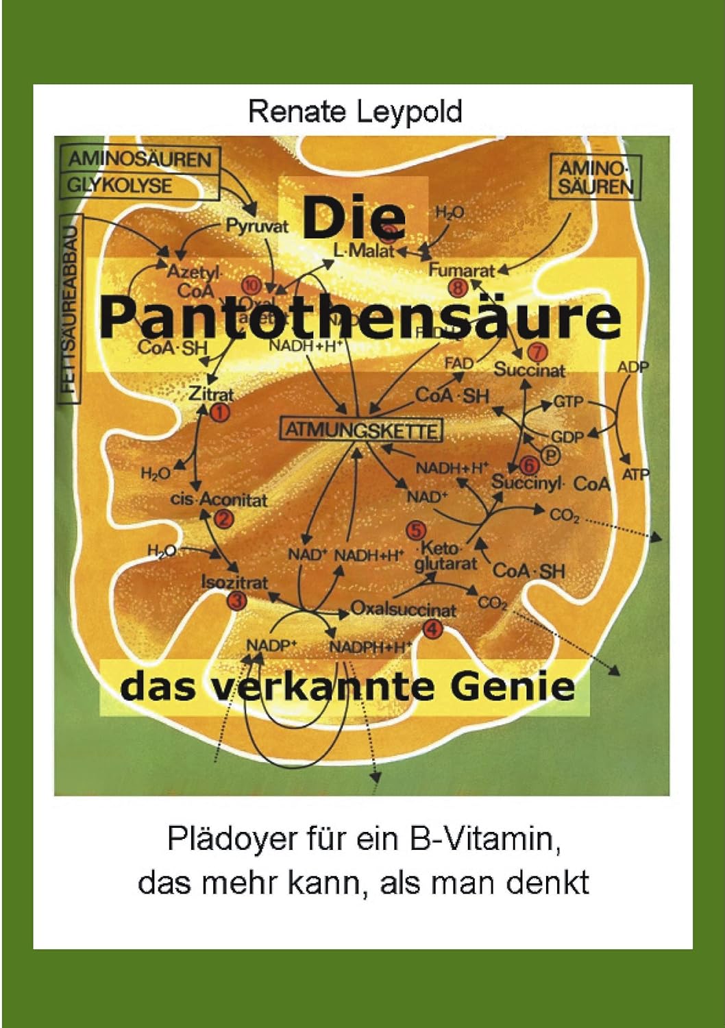 Bildnummer_1