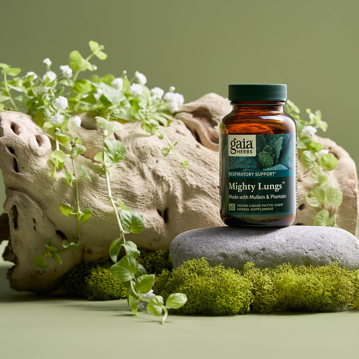 Ein Glasbehälter mit der Aufschrift 'Gaia Herbs Mighty Lungs' steht auf einem grauen Stein, umgeben von grünem Moos und Pflanzen. Der Hintergrund ist grün, und es gibt ein großes Stück Treibholz im Bild.