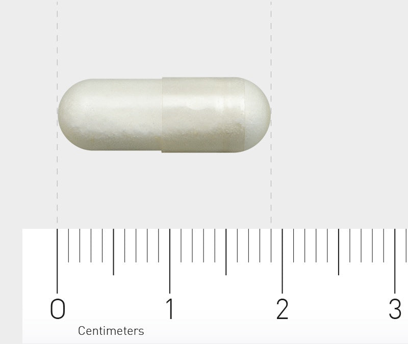Eine weiße Kapsel liegt horizontal auf einem Lineal mit Zentimeter-Einteilung. Die Kapsel ist etwa 2 Zentimeter lang. Der Hintergrund ist neutral grau.