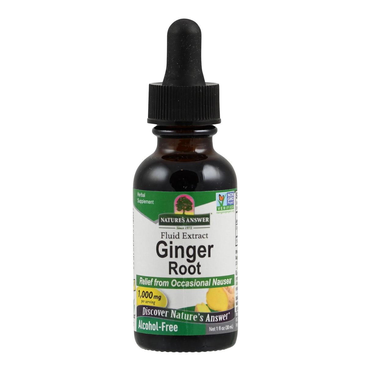 Eine Glasflasche mit Pipette, die ein Ingwerwurzelextrakt von 'Nature's Answer' enthält. Das Etikett zeigt Informationen wie alkoholfrei, 1000 mg pro Portion und nicht-GVO-verifiziert.