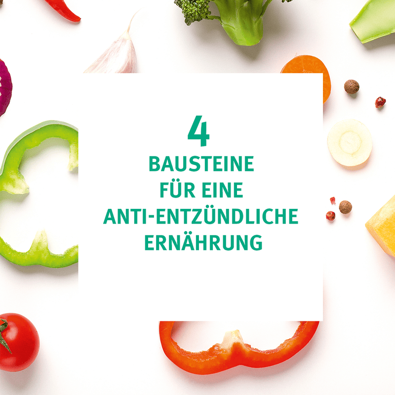 04-Bausteine-Seite1