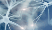 GPC_neuronaler-Impuls