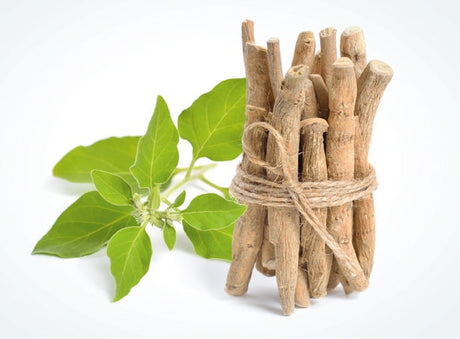 Ashwagandha: Wurzeln und Blätter