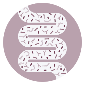 darm-bakterien-piktogramm-rund