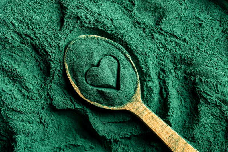 Heap green spirulina algae powder in wooden spoon with heart shape, top view on green spirulina powder background. Dietary supplement to improve health. Seaweed superfood concept. Healthy food