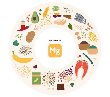 magnesium-in-lebensmitteln
