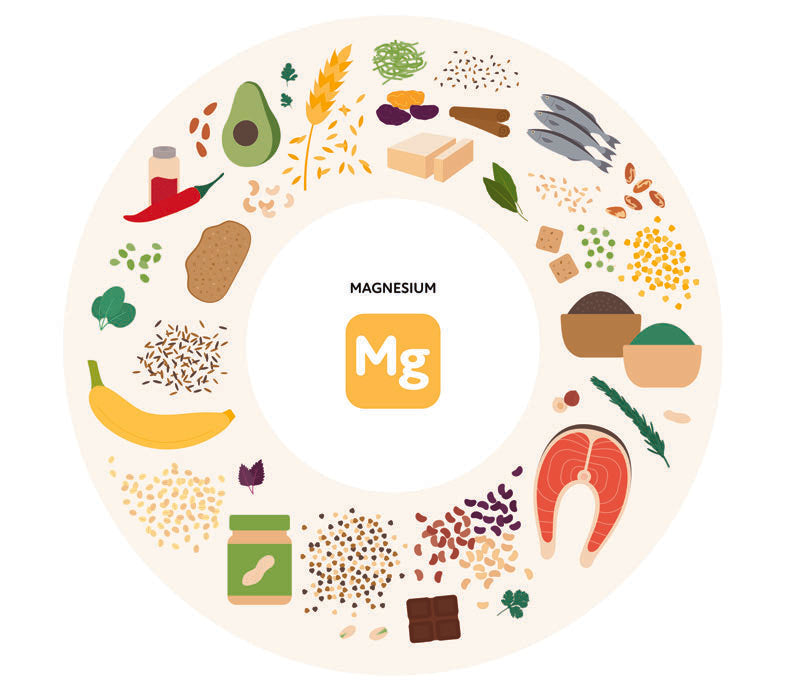 magnesium-in-lebensmitteln
