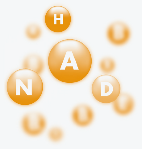 NADH — Ein Energie-Booster für unsere Zellen!
