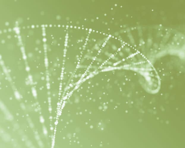 nukleotide-dna-helix-green