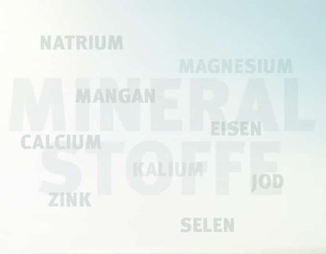 titelbild-2407_mineralstoffe_text