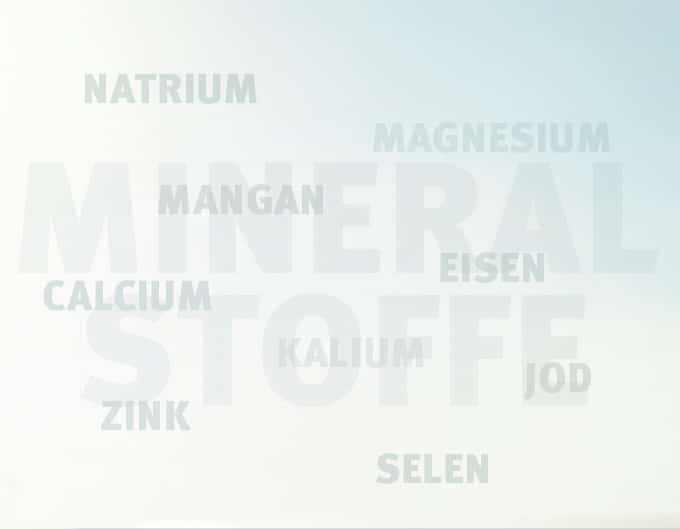titelbild-2407_mineralstoffe_text