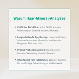 Bildnummer_3