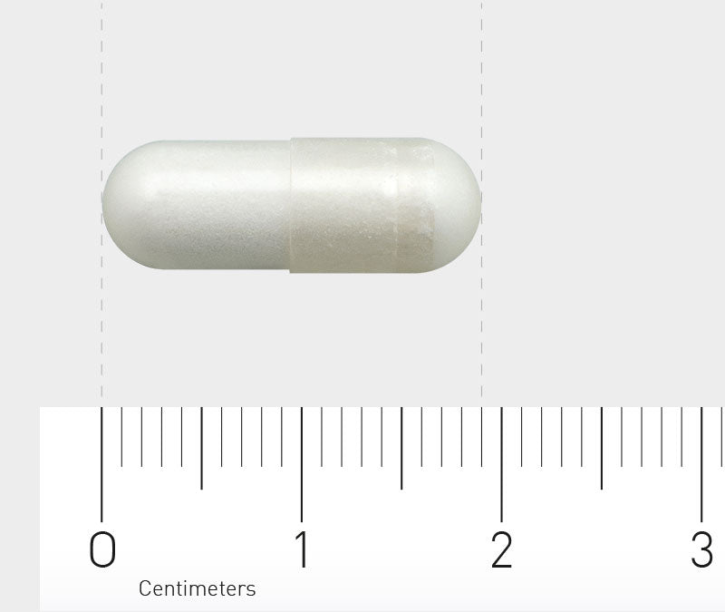 Eine weiße Kapsel liegt auf einem Lineal, das in Zentimetern skaliert ist. Die Kapsel ist etwa 2 Zentimeter lang. Der Hintergrund ist weiß.