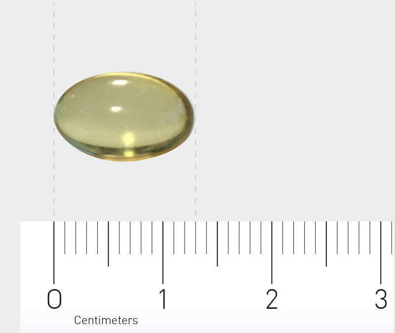 Das Bild zeigt eine einzelne, gelblich-transparente Kapsel auf einem weißen Hintergrund. Unter der Kapsel ist ein Lineal mit Zentimeterangaben sichtbar, das die Größe der Kapsel veranschaulicht.