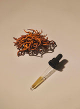 Bildnummer_5
