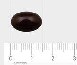 Ein einzelnes, dunkelbraunes, ovales Objekt liegt auf einem weißen Hintergrund. Unter dem Objekt befindet sich ein Lineal mit Zentimeter-Markierungen, das zeigt, dass das Objekt etwa 1,5 Zentimeter lang ist.