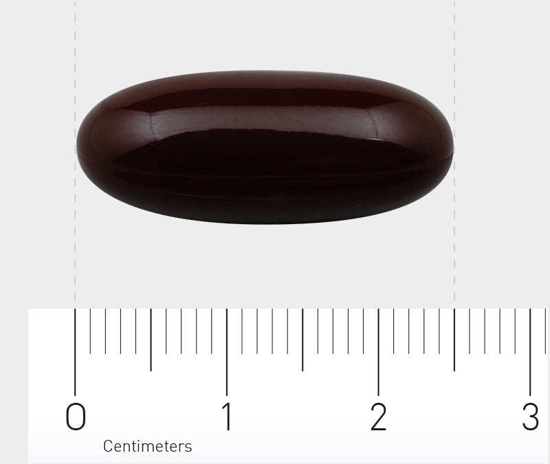 Das Bild zeigt eine dunkelbraune, längliche Kapsel auf einem weißen Hintergrund. Unter der Kapsel befindet sich ein Lineal, das in Zentimetern skaliert ist, und die Kapsel scheint etwa 2,5 cm lang zu sein. Die Kapsel hat eine glänzende Oberfläche.