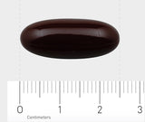 Das Bild zeigt eine dunkelbraune, längliche Kapsel auf einem weißen Hintergrund. Unter der Kapsel befindet sich ein Lineal, das in Zentimetern skaliert ist, und die Kapsel scheint etwa 2,5 cm lang zu sein. Die Kapsel hat eine glänzende Oberfläche.