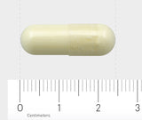 Eine gelbe Kapsel liegt auf einem Lineal, das in Zentimetern skaliert ist. Die Kapsel misst etwa 2 Zentimeter. Der Hintergrund ist grau.