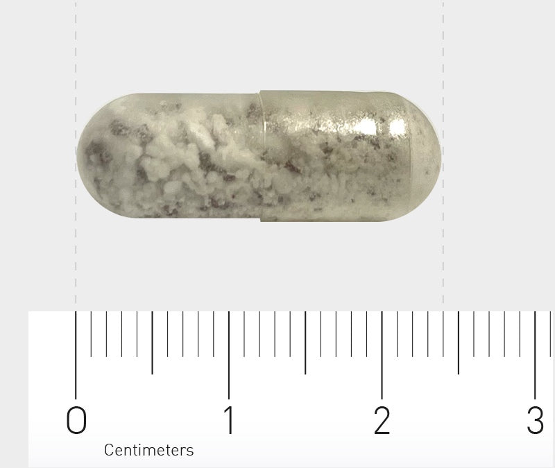 Eine durchsichtige Kapsel mit weißem, körnigem Inhalt liegt auf einem Lineal. Das Lineal zeigt Zentimetermaße an, die Kapsel ist etwa 2 Zentimeter lang.