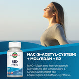 Frau genießt frische Luft, daneben NAC+ Flasche. Text beschreibt Vorteile von NAC+ mit Molybdän und B2 für Glutathion-Synthese.