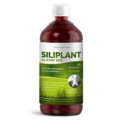 Silicium