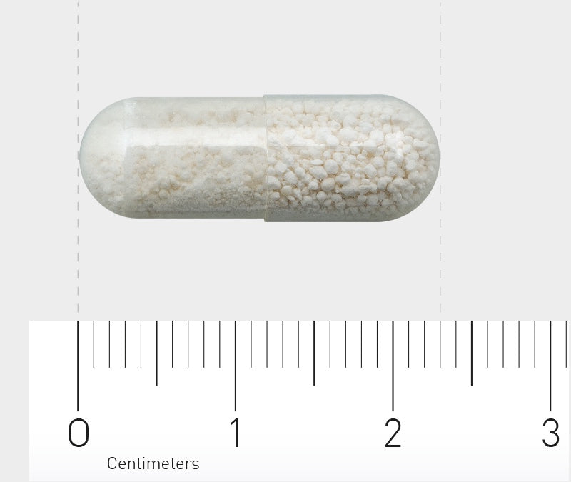 Eine transparente Kapsel, gefüllt mit weißen Granulaten, liegt horizontal auf einem weißen Hintergrund. Darunter befindet sich ein Lineal, das Zentimeter anzeigt.
