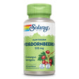 Eine Plastikflasche mit grünem Deckel und Etikett. Das Etikett zeigt den Markennamen Solaray und den Produktnamen Weißdornbeeren 525 mg. Unten befinden sich Symbole für Laborzertifizierung und Veganismus. Das Etikett hat ein Design mit grünen und roten Farben, das Weißdornbeeren und Blätter darstellt. Die Flasche enthält 100 Kapseln eines Nahrungsergänzungsmittels mit Crataegus laevigata.