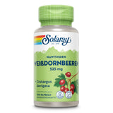 Eine Plastikflasche mit grünem Deckel und Etikett. Das Etikett zeigt den Markennamen Solaray und den Produktnamen Weißdornbeeren 525 mg. Unten befinden sich Symbole für Laborzertifizierung und Veganismus. Das Etikett hat ein Design mit grünen und roten Farben, das Weißdornbeeren und Blätter darstellt. Die Flasche enthält 100 Kapseln eines Nahrungsergänzungsmittels mit Crataegus laevigata.