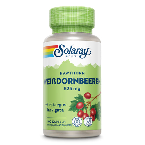 Eine Plastikflasche mit grünem Deckel und Etikett. Das Etikett zeigt den Markennamen Solaray und den Produktnamen Weißdornbeeren 525 mg. Unten befinden sich Symbole für Laborzertifizierung und Veganismus. Das Etikett hat ein Design mit grünen und roten Farben, das Weißdornbeeren und Blätter darstellt. Die Flasche enthält 100 Kapseln eines Nahrungsergänzungsmittels mit Crataegus laevigata.