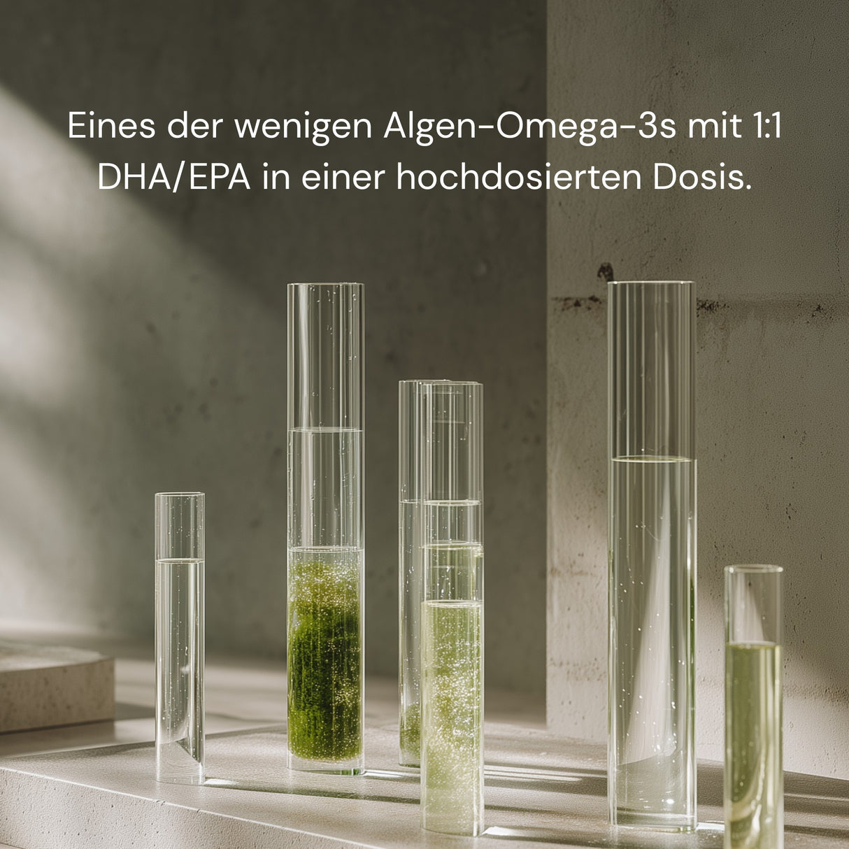 Bildnummer_4