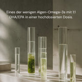 Bildnummer_4