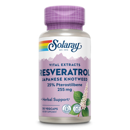 Eine Flasche mit Nahrungsergänzungsmittel von Solaray mit der Aufschrift 'Resveratrol Japanese Knotweed'. Die Flasche ist lila und weiß mit einem lila Deckel. Auf der Vorderseite sind Informationen wie '25% Pterostilbene 255 mg', 'Herbal Support', '30 Vegcaps', 'Lab Verified' und 'Vegan' zu sehen. Ein Bild von japanischem Knöterich ist ebenfalls auf dem Etikett abgebildet.