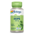 Eine grüne Plastikflasche mit einem grünen Deckel, auf der "Solaray True Herbs Hops 340 mg" steht. Die Flasche zeigt ein Bild von Hopfenzapfen und Blättern. Unten auf dem Etikett sind Symbole für "Lab Verified" und "Vegan" zu sehen. Die Flasche enthält 100 Vegcaps und ist als Nahrungsergänzungsmittel gekennzeichnet.
