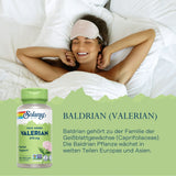 Bildnummer_7