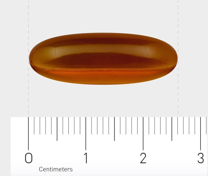 Das Bild zeigt eine ovale, transparente, braune Kapsel, die auf einem Lineal liegt. Die Kapsel ist etwa 2,5 Zentimeter lang. Das Lineal ist in Zentimetern skaliert und zeigt die Größe der Kapsel an.