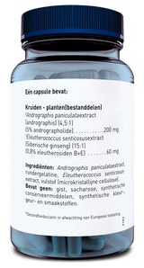 Eine Nahaufnahme einer durchsichtigen Kunststoffflasche mit blauem Deckel, die Kapseln enthält. Auf dem Etikett steht auf Niederländisch, dass eine Kapsel Andrographis paniculata-Extrakt und Eleutherococcus senticosus-Extrakt enthält. Weitere Zutaten sind Rindergelatine und mikrokristalline Cellulose. Es enthält keine Hefe, Saccharose oder synthetische Zusatzstoffe. Ein Gesundheitsclaim ist in Erwartung der europäischen Zulassung.