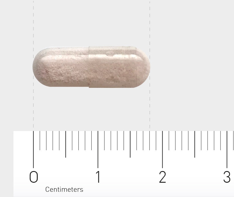 Eine weiße Kapsel liegt horizontal auf einem Lineal, das in Zentimetern skaliert ist. Die Kapsel ist etwa 2 Zentimeter lang und transparent, sodass das weiße Pulver im Inneren sichtbar ist. Der Hintergrund ist neutral und hellgrau.