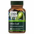 Das Bild zeigt eine braune Flasche mit einem grünen Deckel, auf der "Gaia Herbs" steht. Darunter steht "Olive Leaf" und "Immune Support". Auf dem Etikett ist ein grünes Olivenblatt abgebildet. Die Flasche enthält 60 Kapseln eines pflanzlichen Nahrungsergänzungsmittels.
