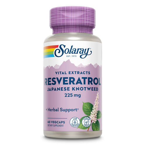 Eine Flasche mit Nahrungsergänzungsmitteln der Marke Solaray. Auf dem Etikett steht: 'Vital Extracts Resveratrol Japanese Knotweed 225 mg'. Die Flasche hat einen lila Deckel und ein lila Etikett mit einem Bild von japanischem Staudenknöterich.