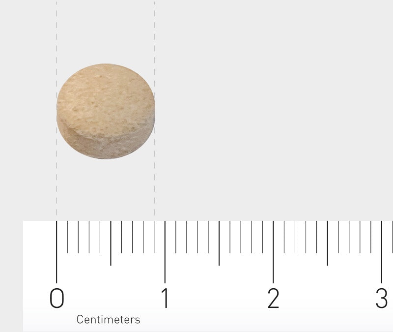 Eine einzelne, runde, beige Tablette liegt auf einem weißen Hintergrund. Eine Zentimeterskala ist am unteren Rand des Bildes sichtbar, die die Größe der Tablette anzeigt.